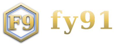 fy91 logo
